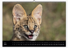 Load image into Gallery viewer, 2022 Calendar: A WILDLIFE JOURNEY THROUGH EAST AFRICA
