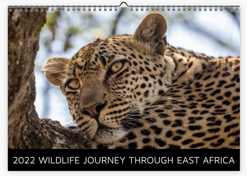 2022 Calendar: A WILDLIFE JOURNEY THROUGH EAST AFRICA