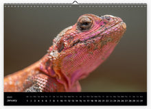 Load image into Gallery viewer, 2022 Calendar: A WILDLIFE JOURNEY THROUGH EAST AFRICA
