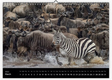 Load image into Gallery viewer, 2022 Calendar: A WILDLIFE JOURNEY THROUGH EAST AFRICA
